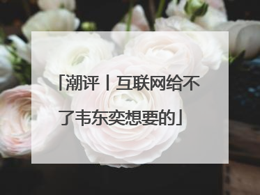 潮评丨互联网给不了韦东奕想要的