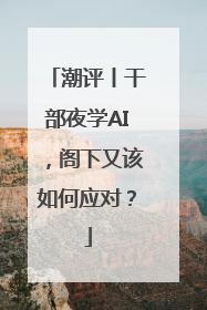 潮评丨干部夜学AI，阁下又该如何应对？