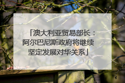 澳大利亚贸易部长：阿尔巴尼斯政府将继续坚定发展对华关系