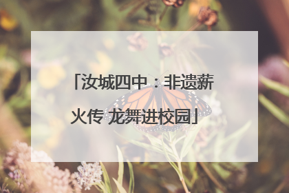 汝城四中：非遗薪火传 龙舞进校园