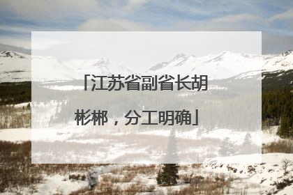 江苏省副省长胡彬郴，分工明确