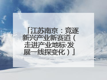 江苏南京：竞逐新兴产业新赛道（走进产业地标·发展一线探变化）