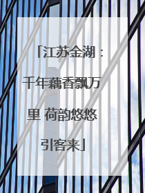 江苏金湖：千年藕香飘万里 荷韵悠悠引客来