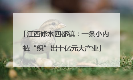 江西修水四都镇：一条小内裤“织”出十亿元大产业