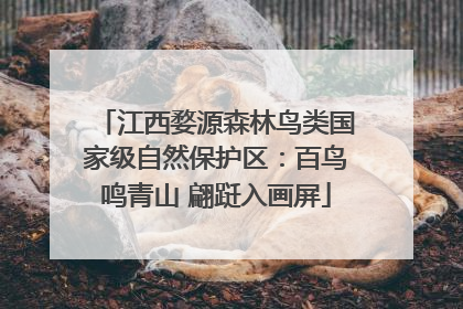 江西婺源森林鸟类国家级自然保护区：百鸟鸣青山 翩跹入画屏