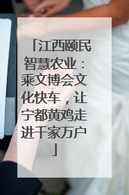 江西颐民智慧农业：乘文博会文化快车，让宁都黄鸡走进千家万户