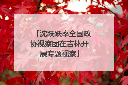 沈跃跃率全国政协视察团在吉林开展专题视察