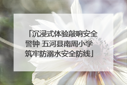 沉浸式体验敲响安全警钟 五河县南周小学筑牢防溺水安全防线
