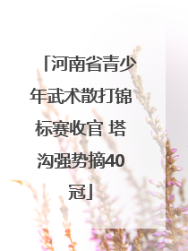 河南省青少年武术散打锦标赛收官 塔沟强势摘40冠