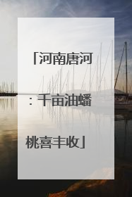 河南唐河：千亩油蟠桃喜丰收
