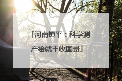 河南镇平：科学测产绘就丰收图景