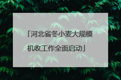 河北省冬小麦大规模机收工作全面启动