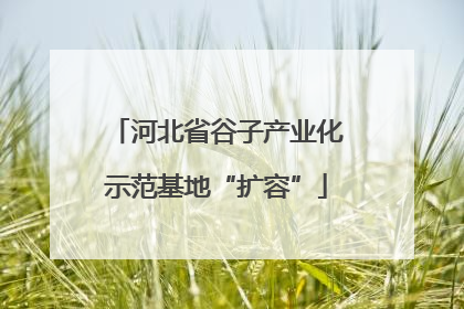 河北省谷子产业化示范基地“扩容”