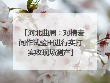 河北曲周：对棉麦间作试验田进行实打实收现场测产