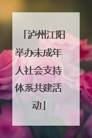 泸州江阳举办未成年人社会支持体系共建活动