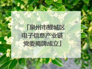 泉州市鲤城区电子信息产业链党委揭牌成立
