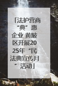 法护营商 “典”惠企业 黄陂区开展2025年“民法典宣传月”活动