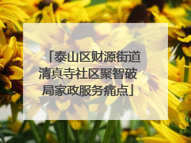 泰山区财源街道清真寺社区聚智破局家政服务痛点