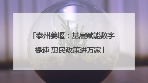 泰州姜堰：基层赋能数字提速 惠民政策进万家