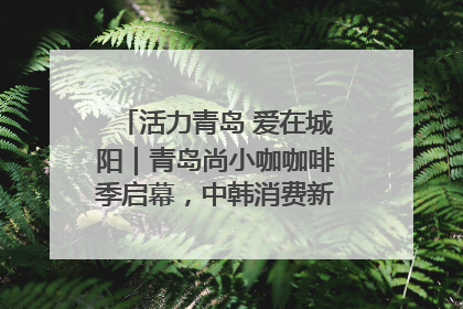 活力青岛 爱在城阳｜青岛尚小咖咖啡季启幕，中韩消费新场景点燃夏日热情