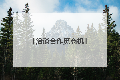 洽谈合作觅商机