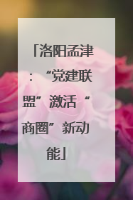 洛阳孟津：“党建联盟”激活“商圈”新动能