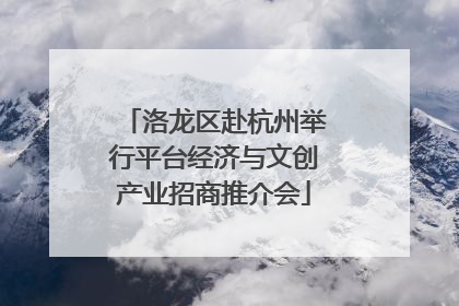 洛龙区赴杭州举行平台经济与文创产业招商推介会
