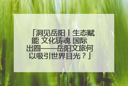 洞见岳阳丨生态赋能 文化铸魂 国际出圈——岳阳文旅何以吸引世界目光？