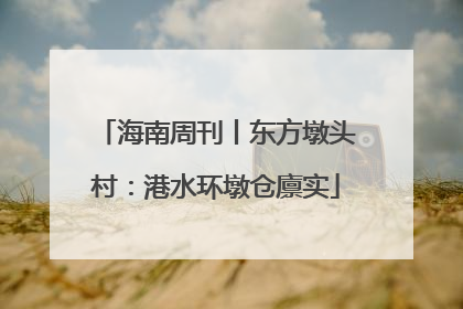 海南周刊丨东方墩头村：港水环墩仓廪实