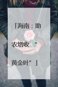 海南：助农增收 “黄金叶”