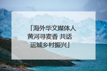 海外华文媒体人黄河寻麦香 共话运城乡村振兴