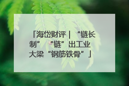 海岱财评｜“链长制” “链”出工业大梁“钢筋铁骨”