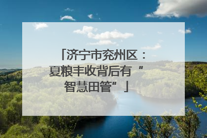 济宁市兖州区：夏粮丰收背后有“智慧田管”