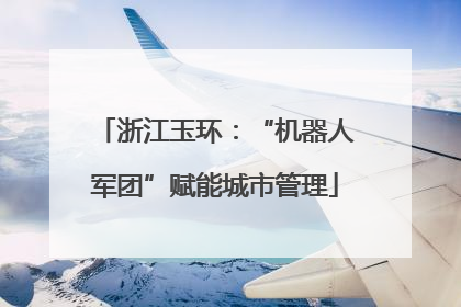 浙江玉环：“机器人军团”赋能城市管理