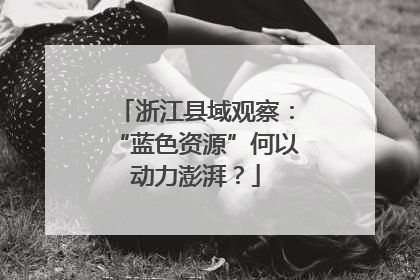 浙江县域观察：“蓝色资源”何以动力澎湃？