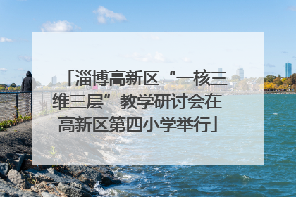 淄博高新区“一核三维三层”教学研讨会在高新区第四小学举行