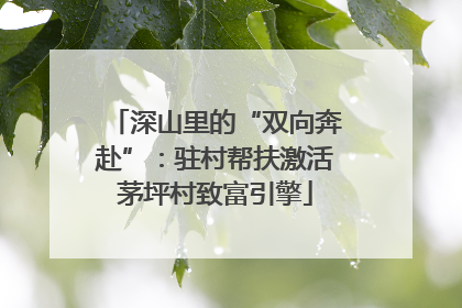 深山里的“双向奔赴”：驻村帮扶激活茅坪村致富引擎