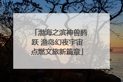 渤海之滨神兽腾跃 渔岛幻夜宇宙点燃文旅新篇章