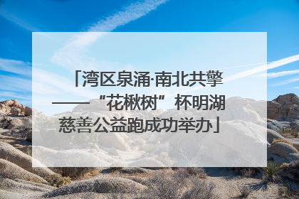 湾区泉涌·南北共擎——“花楸树”杯明湖慈善公益跑成功举办