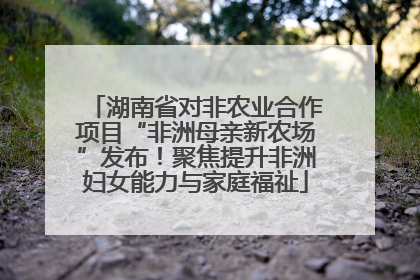 湖南省对非农业合作项目“非洲母亲新农场”发布！聚焦提升非洲妇女能力与家庭福祉