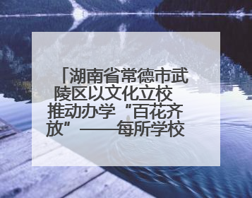 湖南省常德市武陵区以文化立校 推动办学“百花齐放”——每所学校都“精彩”