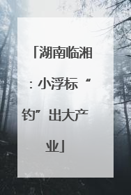 湖南临湘：小浮标“钓”出大产业