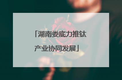 湖南娄底力推钛产业协同发展