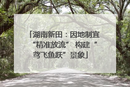 湖南新田：因地制宜“精准放流” 构建“鸢飞鱼跃”景象