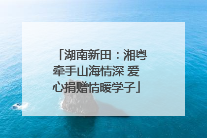 湖南新田：湘粤牵手山海情深 爱心捐赠情暖学子
