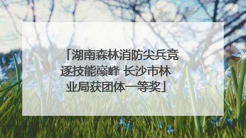 湖南森林消防尖兵竞逐技能巅峰 长沙市林业局获团体一等奖