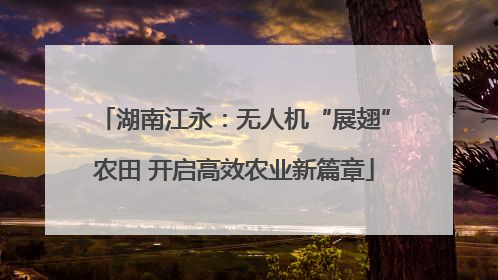 湖南江永：无人机“展翅”农田 开启高效农业新篇章