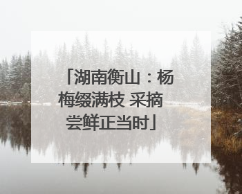 湖南衡山：杨梅缀满枝 采摘尝鲜正当时