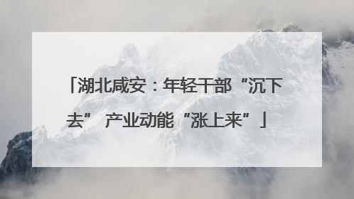 湖北咸安：年轻干部“沉下去” 产业动能“涨上来”