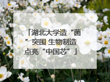湖北大学造“菌”突围 生物制造点亮“中国芯”